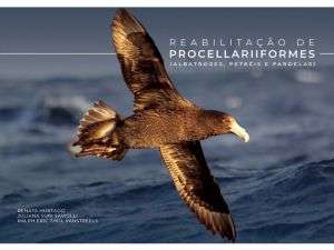 Foto Biblioteca_Livro Procellariiformes Foto Biblioteca_Livro Procellariiformes