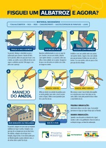 Fisguei um Albatroz e agora? Fisguei um Albatroz e agora?