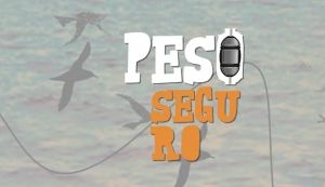 Captura de Tela 2016-11-30 a?s 18.01.28 Captura de Tela 2016-11-30 a?s 18.01.28