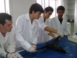 Alunos no primeiro dia de aula Alunos no primeiro dia de aula