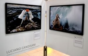 Fotos de Luciano Candisani Fotos de Luciano Candisani