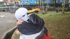 Abraços Grátis Abraços Grátis