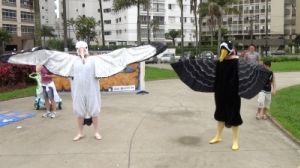 Animadores fantasiados de albatroz-errante e de pardela-de-óculos Animadores fantasiados de albatroz-errante e de pardela-de-óculos
