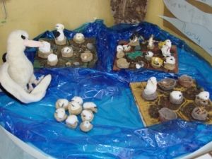 Ninhal de Albatroz produzido pelos alunos Ninhal de Albatroz produzido pelos alunos