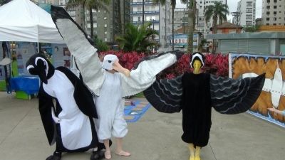 Animadores fantasiados de albatrozes