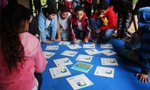 Jogo da Memória Marinha Jogo da Memória Marinha