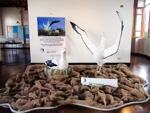 Foto Notícias_Exposição Atualizada Cabo Frio Foto Notícias_Exposição Atualizada Cabo Frio