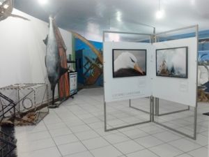 Foto Notícias_Exposição Arraial do Cabo 1 Foto Notícias_Exposição Arraial do Cabo 1