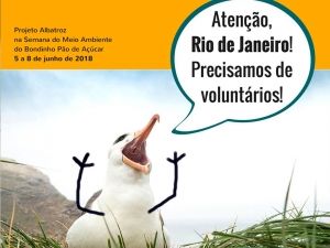Foto Notícias_Voluntários RJ Foto Notícias_Voluntários RJ