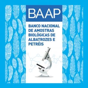 BAPP_site-1 BAPP_site-1