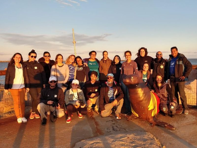 Projeto Albatroz participa de encontro realizado pelo Pinípedes do Sul