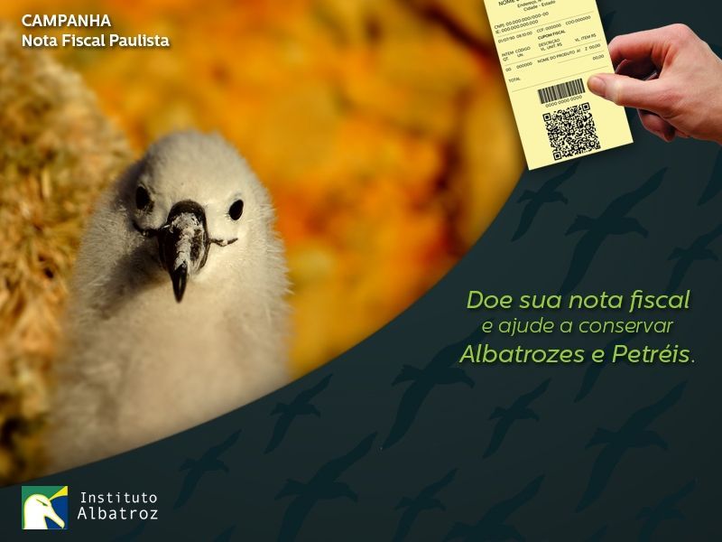 Faça doação automática da Nota Fiscal Paulista e contribua para a conservação de albatrozes e petréis no Brasil