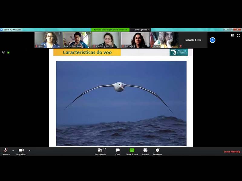 Ecoarentena reúne jovens engajados em conservação marinha para reunião virtual
