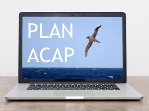 Foto Noti?cias_Planacap confere?ncia virtual Foto Noti?cias_Planacap confere?ncia virtual