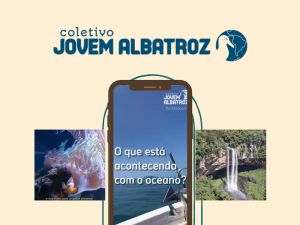 dicas (2) dicas (2)