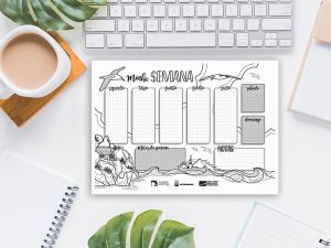 Foto Noti?cias_planner Foto Noti?cias_planner