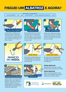 Fisguei um Albatroz e agora? Fisguei um Albatroz e agora?