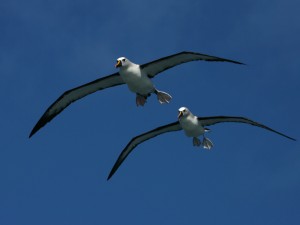 230