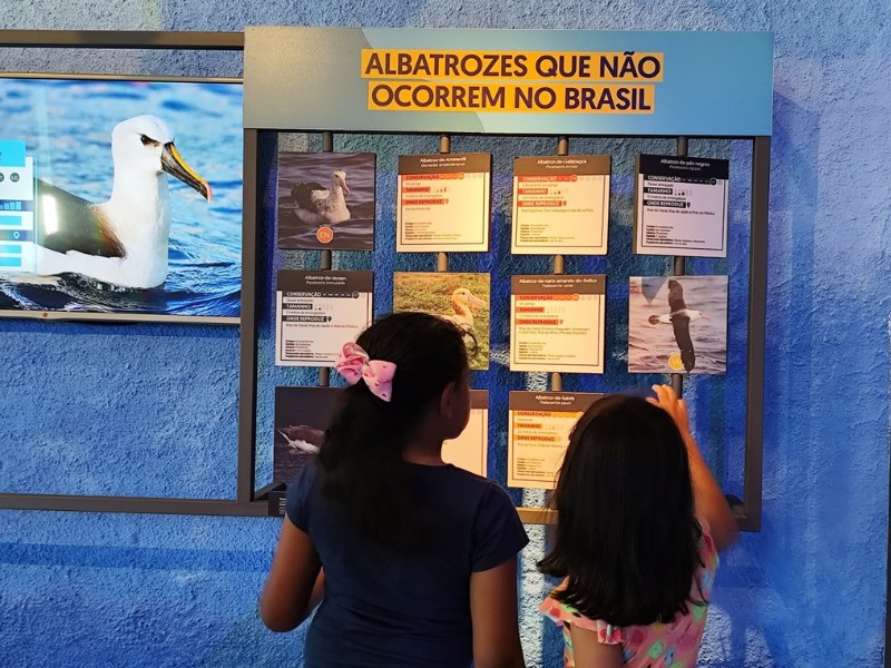 Quando a imagem fala pela natureza: O papel da imagem na sensibilizao ambiental