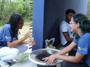 Foto_Not�cia_Dia da Bot�nica 2