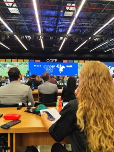 Foto__Not�cia_Abertura COP15