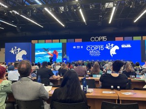 Foto__Not�cia_Abertura COP15