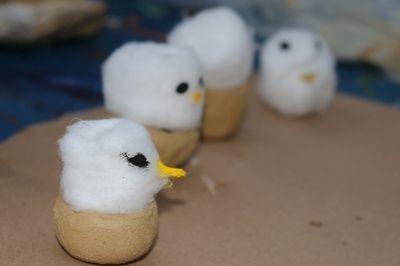 modelo-de-albatrozes-no-ninho-confeccionados-em-oficina