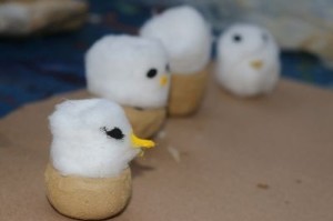 modelo-de-albatrozes-no-ninho-confeccionados-em-oficina