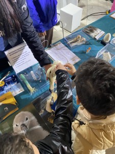 S�o Paulo Ocean Week: Projeto Albatroz leva educa��o ambiental e ci�ncia para mais de 14 mil pessoas