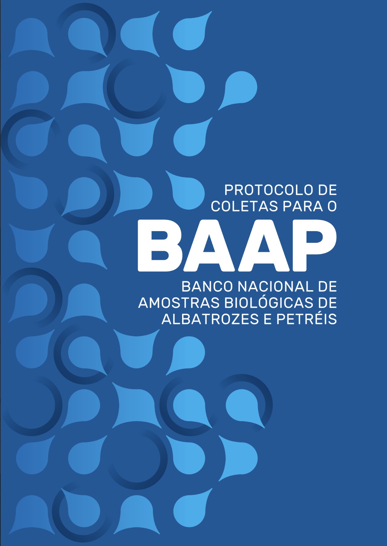Capa Protocolo BAAP Capa Protocolo BAAP