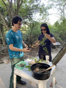 Projeto Albatroz prop�e mergulho na cultura oce�nica com programa��o especial aos finais de semana